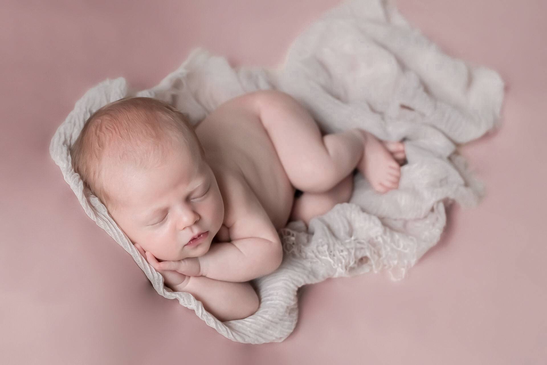 Bild von der Webseite von Siebenschön Photography