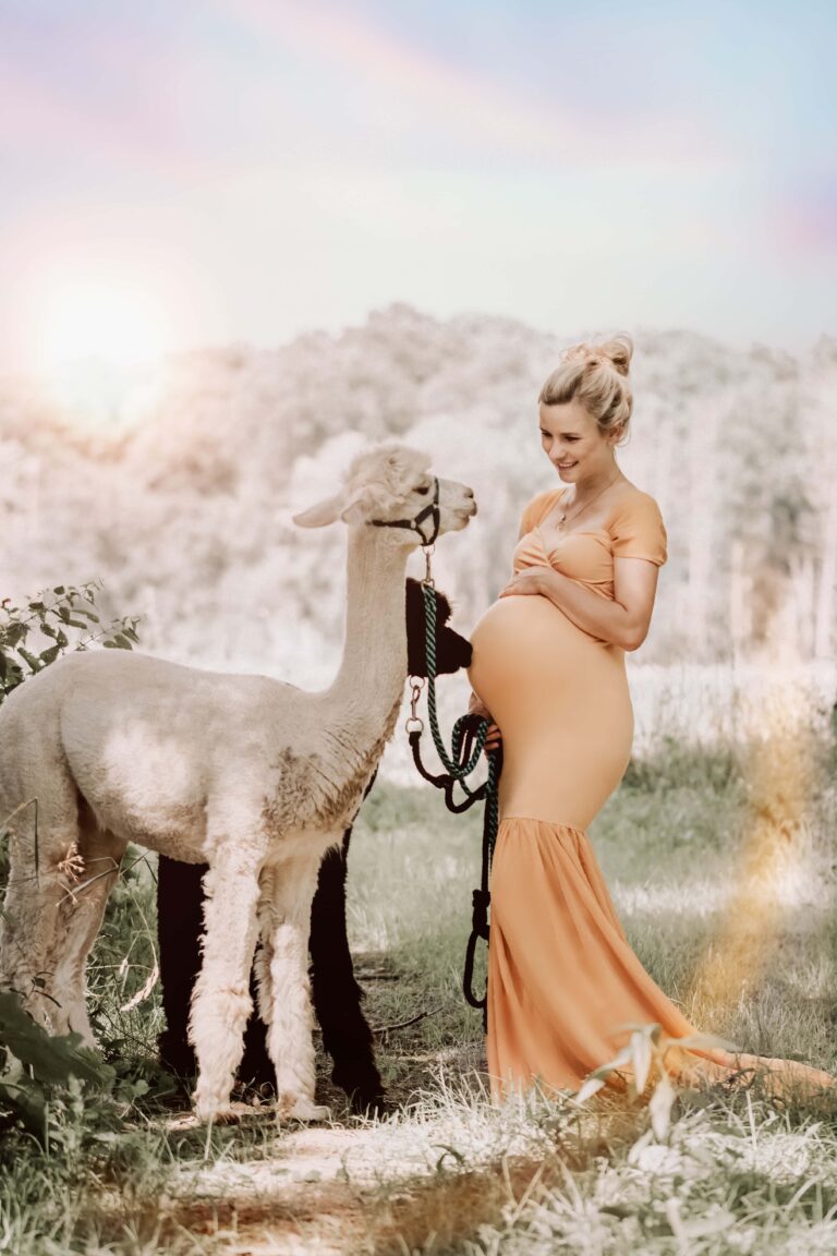Fotoshooting mit Alpaka in Beckum - Siebenschön Photography