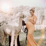 Babybauchshooting mit Alpakas in NWR - Fotoshooting mit Siebenschön Photography