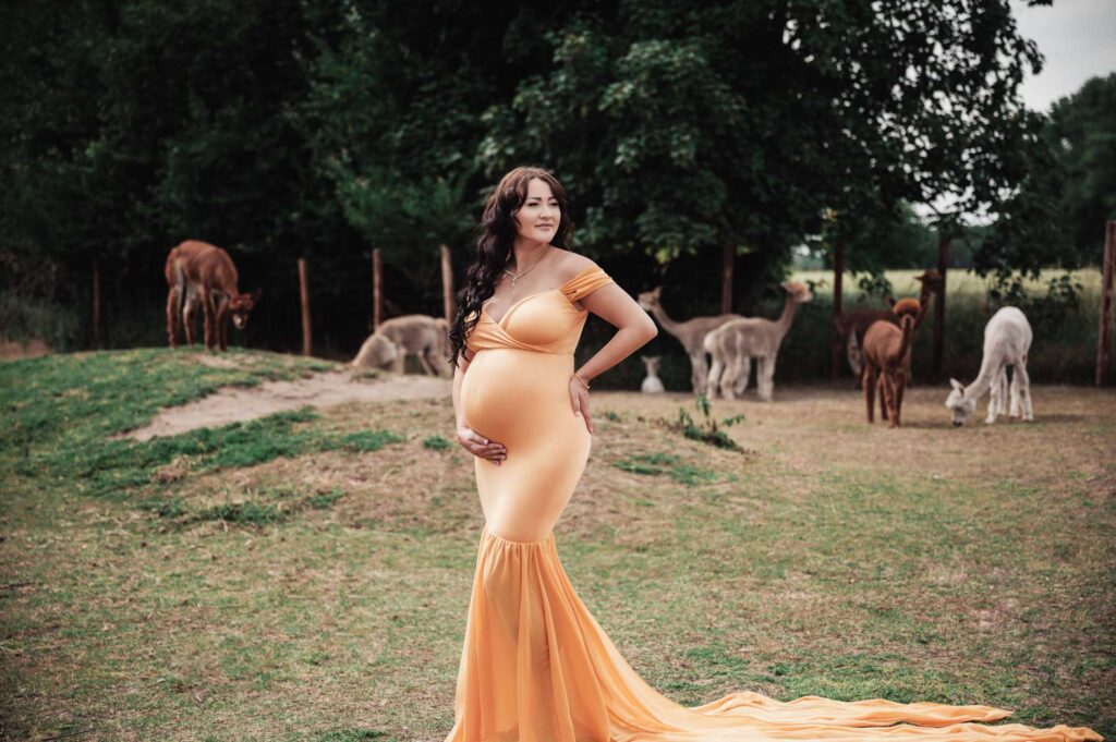 Babybauchshooting auf der Alpakafarm - Schwangerschaftsfotos fotografiert von Lisa Berger | Siebenschön Photography in Oelde