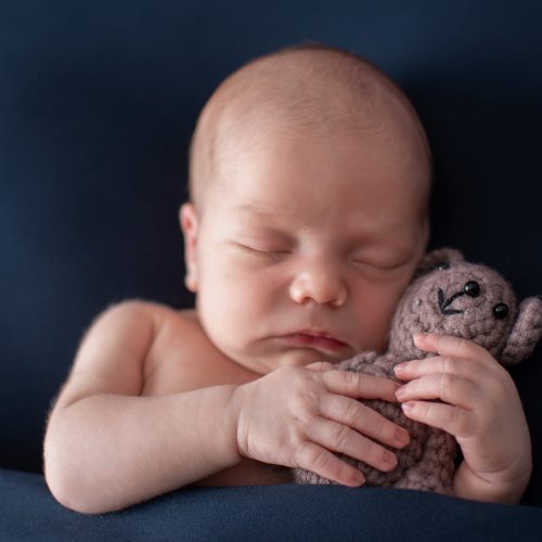 Babyfotografie eines Jungen mit Teddybär von Siebenschön Photography in Warendorf