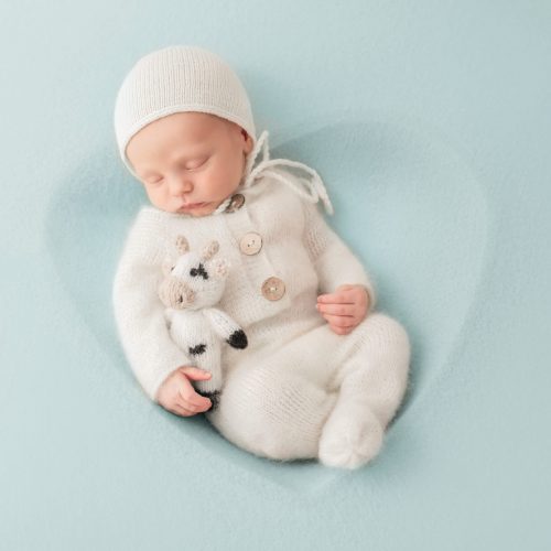 Junge in Herzschale - Neugeborenenfotoshooting bei Siebenschön Photography im Kreis Warendorf
